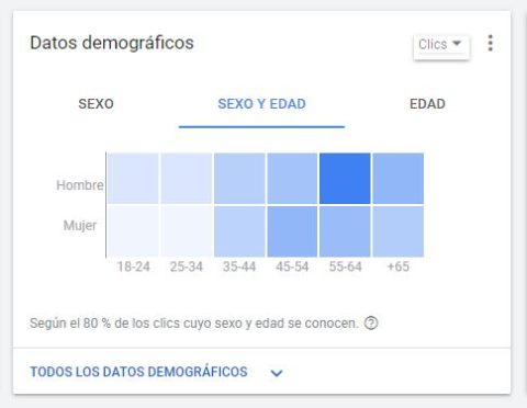 Google AdWords 4 captura de pantalla Google Adwords datos demograficos